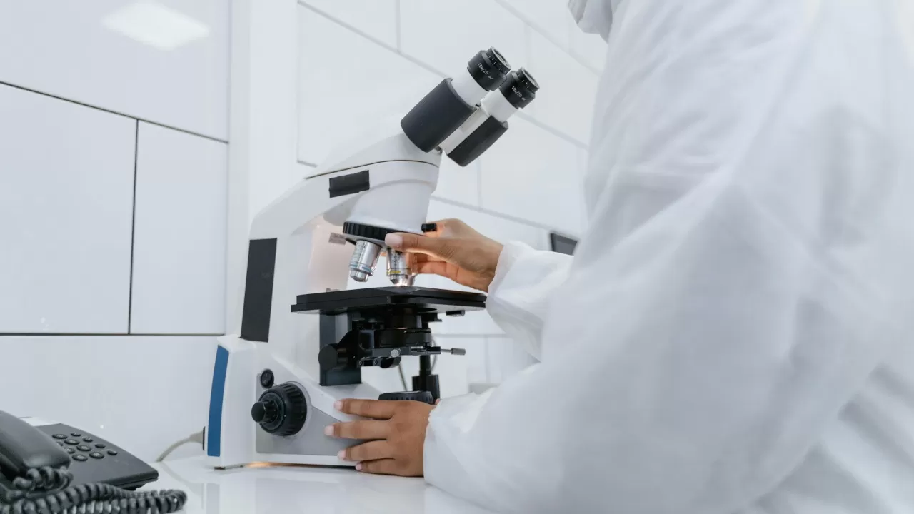 What is the Future of Pe